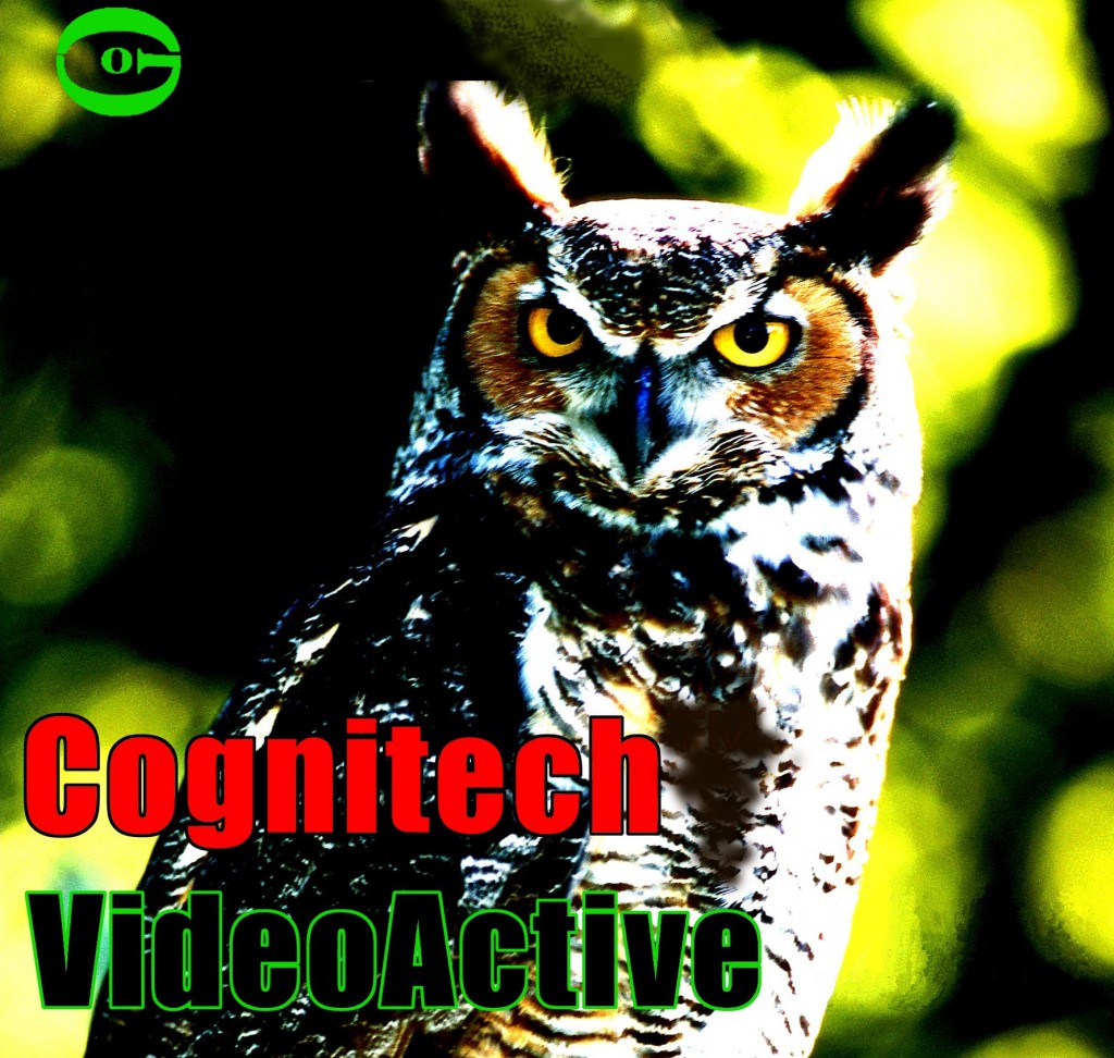Cognitech VideoActive Packaging Cover