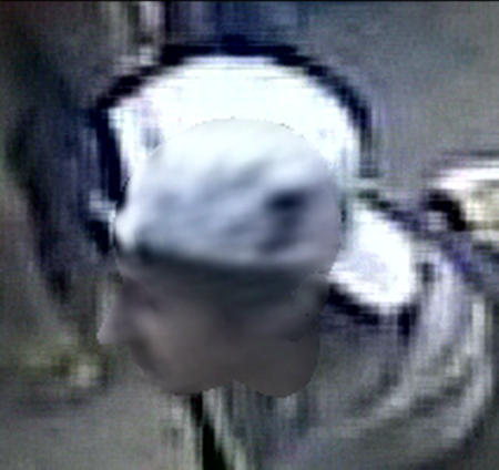 FaceFusion3D applied to Boston Bomber Case