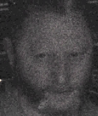 FaceFusion3D